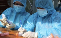 Nữ Phó giám đốc đầu tiên của Sở Xây dựng TP.HCM là ai?