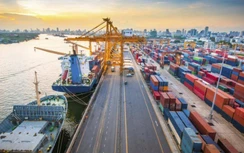 Huy động hơn 170 nghìn tỷ đầu tư cảng biển