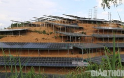 Sơn La: Thanh tra toàn bộ các dự án điện mặt trời trên địa bàn