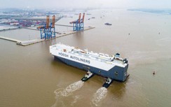 Cục Hàng hải lý giải việc phân loại lại cảng biển