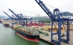 Vì sao chuyển luồng hàng hải Cẩm Phả thành luồng công cộng?
