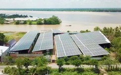 Vụ ký khống mua điện mặt trời giá cao: Lãnh đạo Cục Điện lực, EVN nói gì?