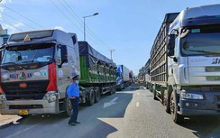 Liên tiếp phát hiện ca bệnh mới, Quảng Ngãi siết quy trình ở chốt kiểm soát