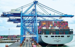 Cước vận tải container tiếp tục tăng phi mã