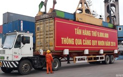7 thuyền viên trên tàu từ Indonesia về cảng Quy Nhơn dương tính Covid-19