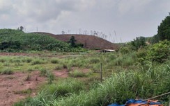 Vì sao hàng loạt cán bộ Sở TN&MT tỉnh Quảng Ninh bị kỷ luật?