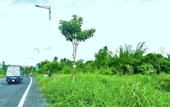 Dự án tái định cư chậm vì dân đòi nâng giá đền bù ở Cần Thơ