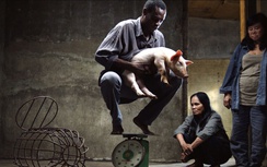 "Vị" bị cấm tại Việt Nam vì cảnh nóng quá dài, giới làm phim nói gì?