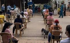 Khởi tố vụ án làm lây lan dịch bệnh ở Bình Định