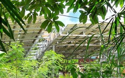 Điện mặt trời áp mái... không có mái vẫn được đấu nối bán điện