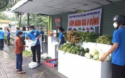 TP.HCM duy trì cửa hàng bình ổn giá, công bố đường dây nóng "tố" vi phạm