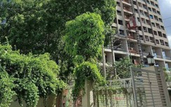 Chủ đầu tư Athena Complex Pháp Vân bán nhà trái phép