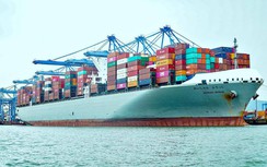 Hãng tàu ngoại “đè” chủ hàng Việt thu phụ phí
