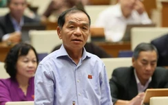 Từ vụ "bánh mì không phải thực phẩm", ĐBQH đề nghị giám sát bổ nhiệm cán bộ