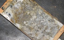 Bé 7 tuổi tử vong nghi do điện thoại cháy nổ