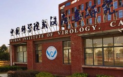 Trung Quốc bác bỏ kế hoạch điều tra nguồn gốc COVID-19 của WHO