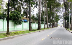 TP.HCM tiếp tục áp dụng Chỉ thị 16 với biện pháp mạnh hơn đến 1/8