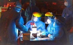 Đà Nẵng dừng hoạt động cảng cá lớn nhất thành phố do 19 ca mắc Covid-19