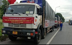 Lâm Đồng ủng hộ 250 tấn rau, củ cho người dân vùng dịch TP.HCM