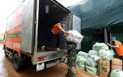 Shipper phải đeo thẻ, băng tay và được cấp mã QR Code