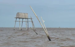 Dai dẳng “cuộc chiến ngao - cát” cửa sông Lạch Tray