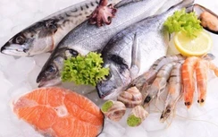 Bảo quản cá tươi ngon chỉ với bước này từ kinh nghiệm của người Nhật