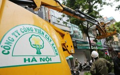 Trúng loạt gói thầu khủng, Công viên Cây xanh Hà Nội vẫn kinh doanh bết bát