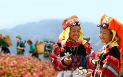 Hỗ trợ sinh kế, nâng cao đời sống của đồng bào dân tộc thiểu số và miền núi