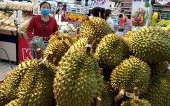 Sầu riêng Ri6 của Việt Nam “cháy hàng” tại Úc, giá hơn 400 nghìn đồng/kg