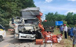 Xe tải đối đầu xe container, một tài xế tử vong