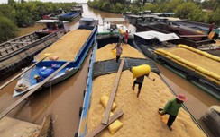 Sóc Trăng cần sự liên kết giữa các tỉnh Nam sông Hậu trong mùa dịch