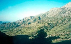 Uzbekistan xác minh thông tin có máy bay của Không quân Afghanistan bị rơi