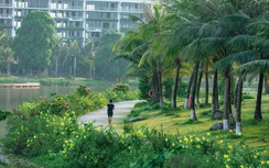 Những người “bỏ phố” về sống giữa thiên nhiên thời dịch Covid-19