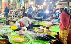 Quảng Nam khởi tố vụ án làm lây nhiễm dịch liên quan chợ đầu mối Đà Nẵng