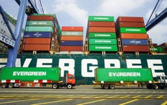 Hàng container qua cảng biển Việt Nam tiếp tục tăng mạnh