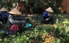 Nhãn Thái Lan bị Trung Quốc "cấm cửa" vô thời hạn, Việt Nam cần lưu ý gì?