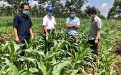 Gia Lai: Thay đổi nếp nghĩ cách làm, đời sống đồng bào thay đổi