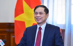 Bộ trưởng Ngoại giao chia sẻ về nghĩa tình kiều bào trong dịch Covid-19