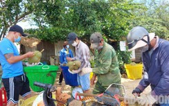 Đắk Lắk: Giám sát người thu mua sầu riêng, test Covid-19 3 ngày 1 lần