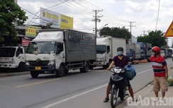 Đề nghị không phạt người có bằng lái hết hạn đúng mùa dịch