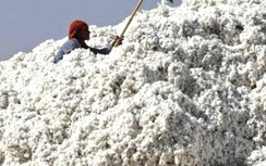 Tìm hướng đẩy mạnh xuất khẩu sang thị trường châu Phi