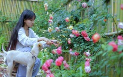 Lý Tử Thất ở nhà trồng rau, nuôi gà "hốt bạc" từ YouTube: Sao lại dừng?