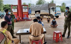 Tài xế xe "luồng xanh" chở chui 5 người trên cabin