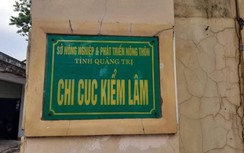 Chi cục Kiểm lâm Quảng Trị lập hồ sơ khống, bị thu hồi hơn 1 tỷ đồng