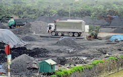 Cú bắt tay của “bà trùm” và anh em đại gia lan đột biến