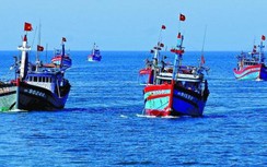 Bộ GTVT họp khẩn ứng phó bão số 5