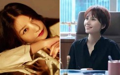 Triệu Vy mất vai vì scandal, người thay thế được khen hợp vai hơn