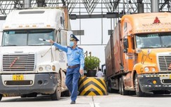 Vận chuyển nông sản phía Nam gặp khó vì thiếu tài xế container