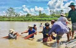 Thủy sản miền Tây xin sớm sản xuất vì sợ mất đơn hàng