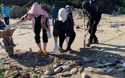 Người dân khóc ròng vì mất tiền tỷ nuôi tôm cá, trắng tay sau cơn bão số 5